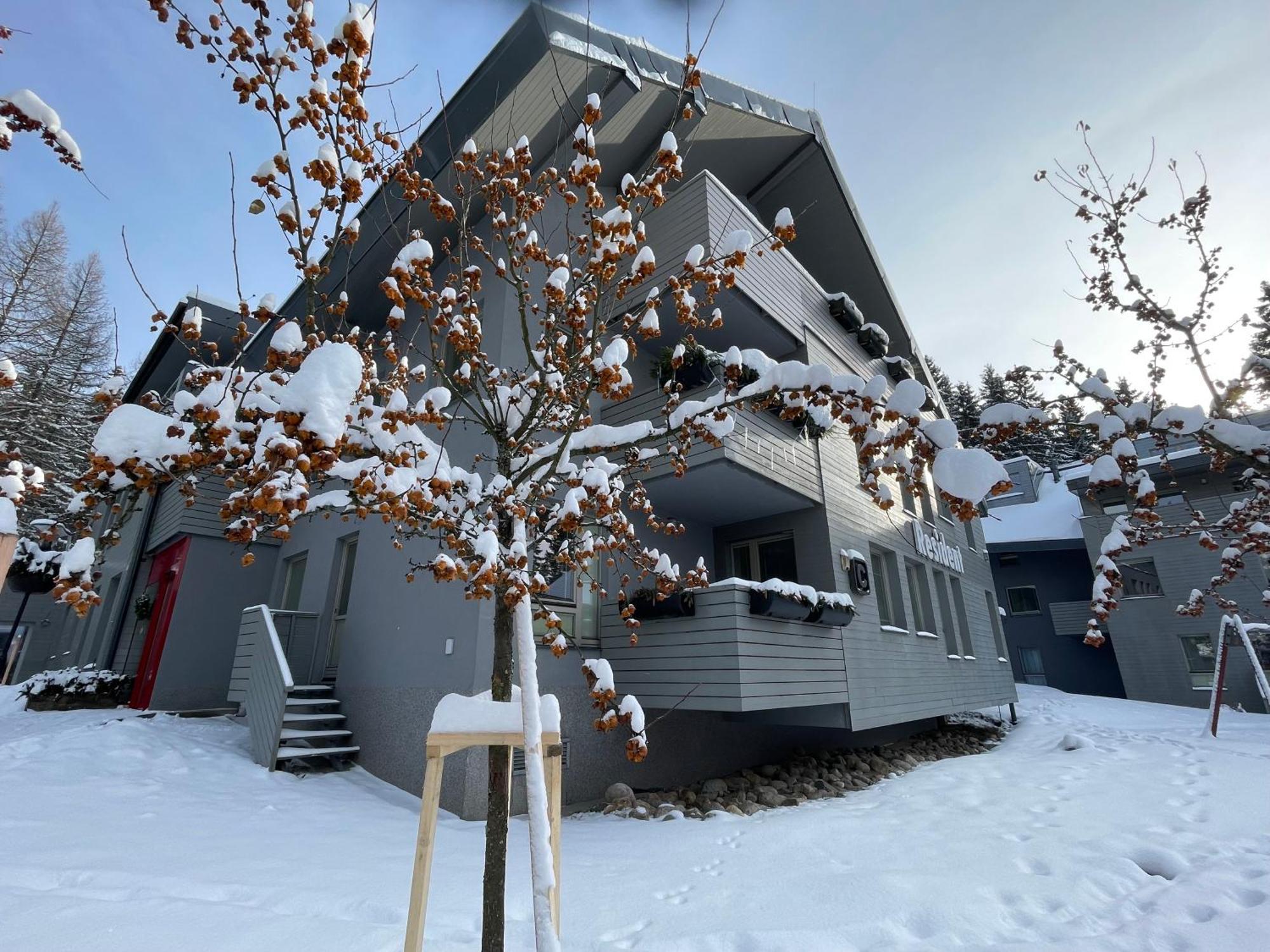 Spirit Harrachov Superior Wellness Apartments - Free Wellness, Wifi, Parking, Harrachov Card Esterno foto