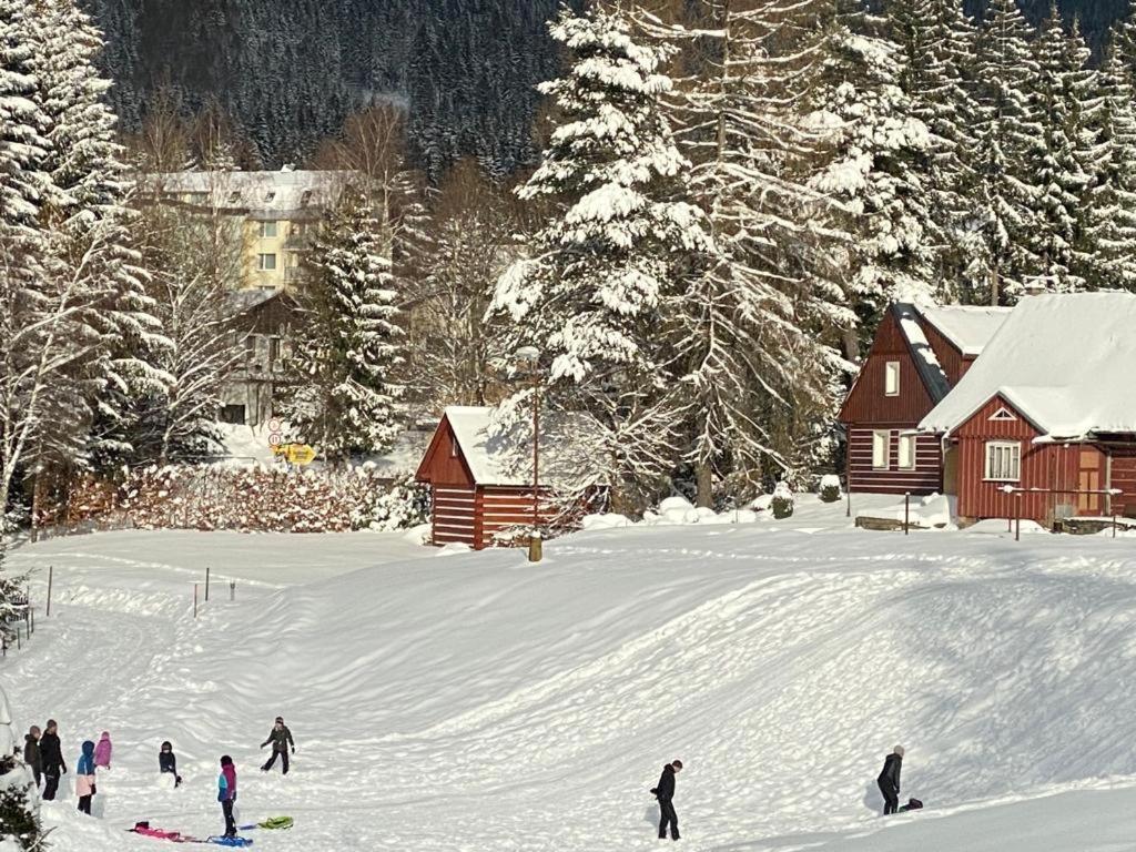 Spirit Harrachov Superior Wellness Apartments - Free Wellness, Wifi, Parking, Harrachov Card Esterno foto